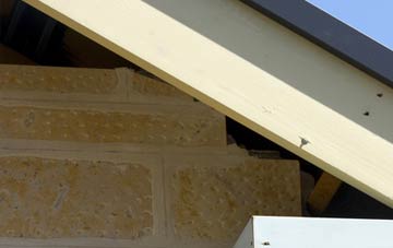 soffit repair Treween