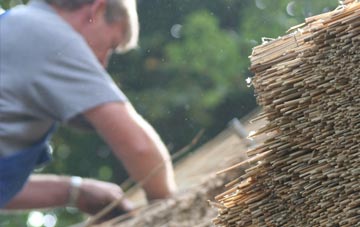 professional Treween thatchers